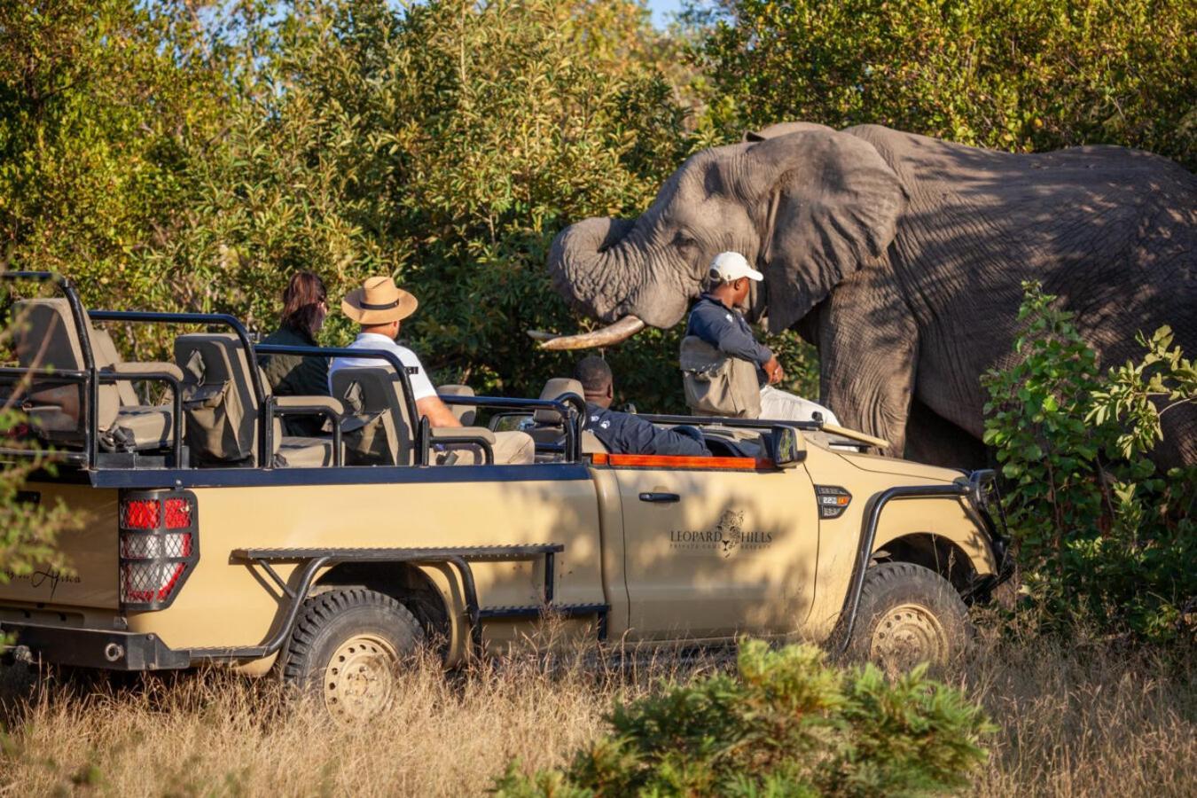 Leopard Hills Private Game Reserve Sabi Sand Game Reserve Exterior foto