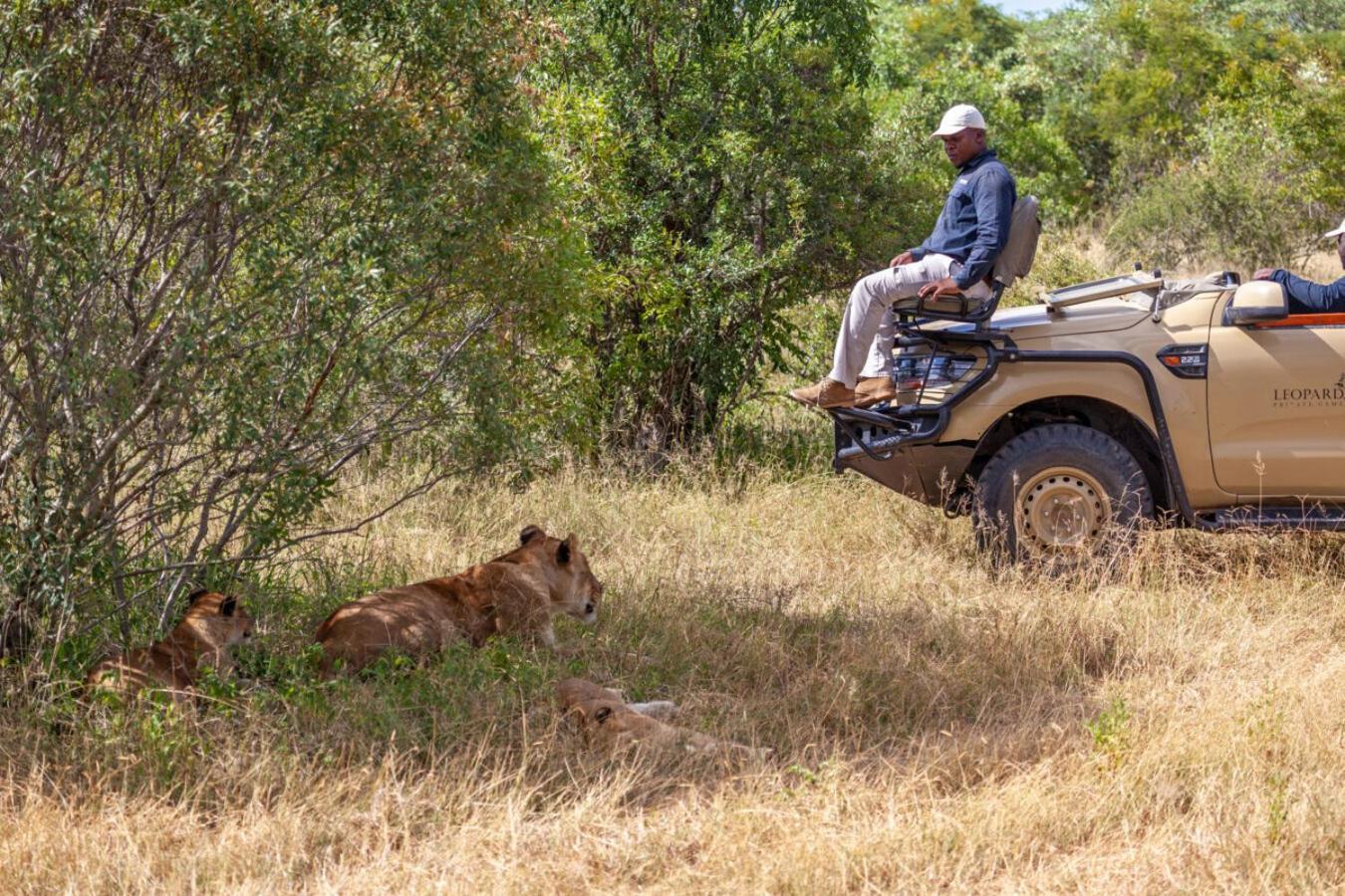Leopard Hills Private Game Reserve Sabi Sand Game Reserve Exterior foto
