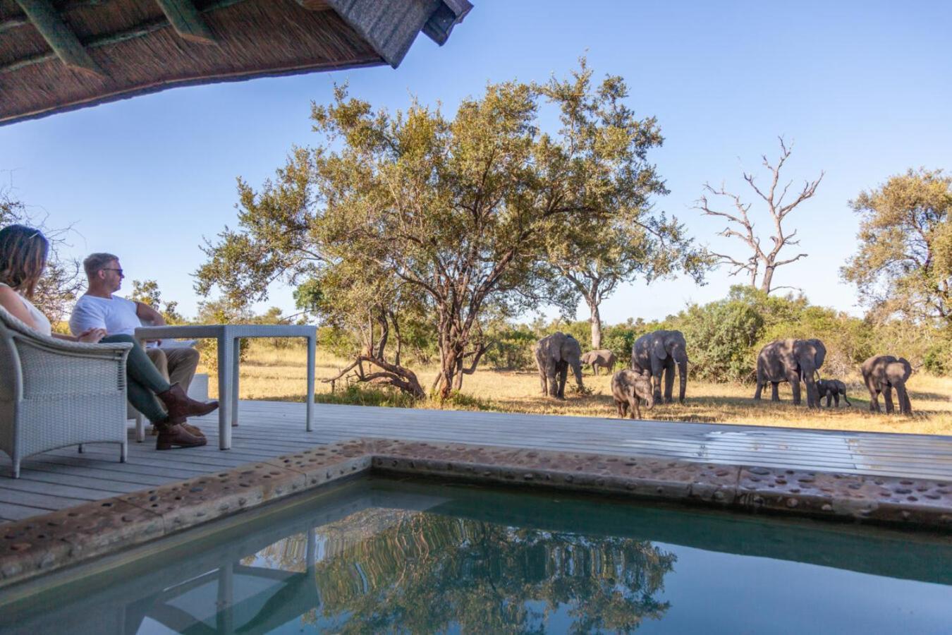 Leopard Hills Private Game Reserve Sabi Sand Game Reserve Exterior foto