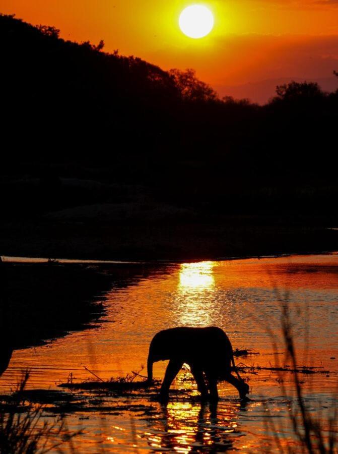 Leopard Hills Private Game Reserve Sabi Sand Game Reserve Exterior foto